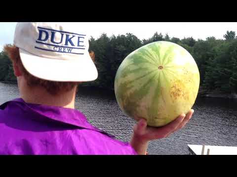 Hark! the Vesper Hymn Is Stealing