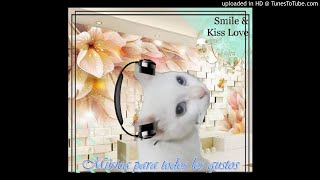 Tell me why Aventura