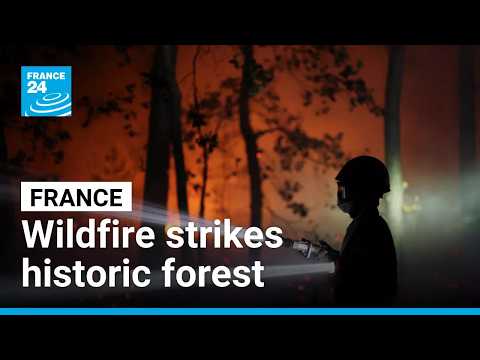 Firefighters battle flames in Fontainebleau historic forest