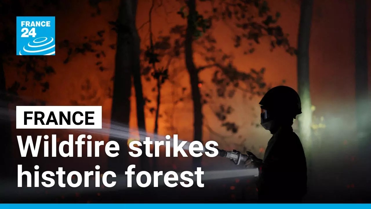 Firefighters battle flames in Fontainebleau historic forest • FRANCE 24 English