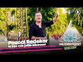 Pascal Redeker - Ik hou van jullie allemaal • Muziekfeest op het Plein 2023 // Sterren NL