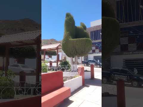 Tarata, Tacna