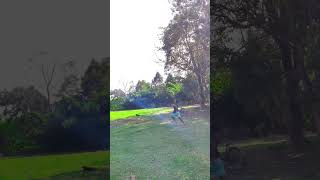 Long jump #longjump #running #fitness #shorts