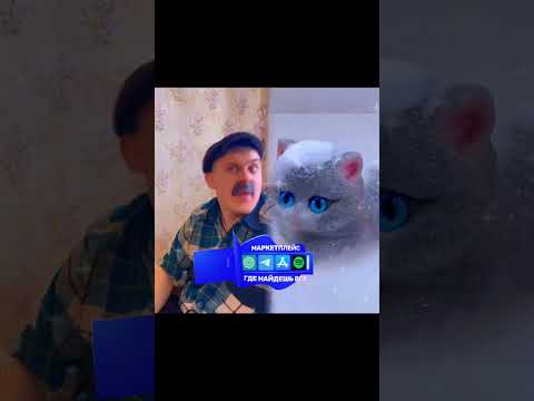 Когда батя обещал взять котёнка😂 #shortvideo #shorts #подпишись #юмор