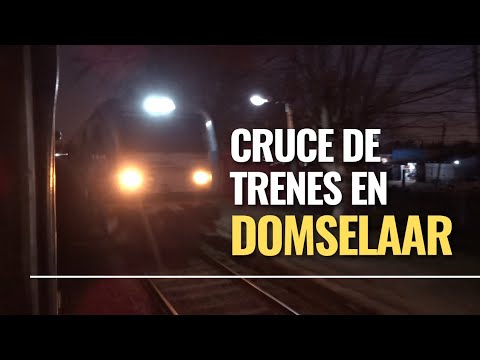CRUZADA en el atardecer de DOMSELAAR | Tren 809 con Tren 304 | Trenes Argentinos 2022