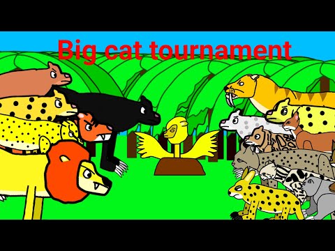 Big cat tournament.
