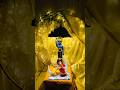 Krishna Theme Ganpati Decoration Idea Shorts Ganpatidecoration