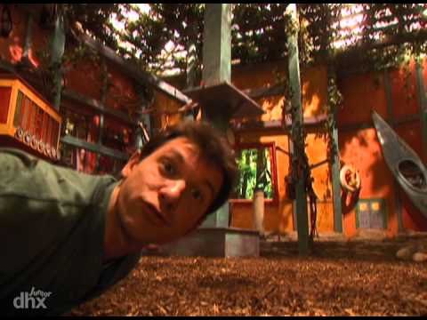 Zoboomafoo 113 - Cachorrinhos (Em Português)