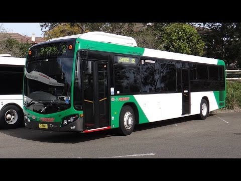 Forest Coachlines M/O 5441 - Volvo B7RLE (ZF Ecolife/Custom Coaches CB80)