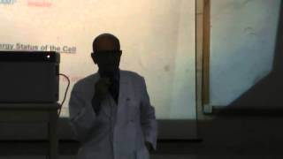 7) Dr Rasheed 10/11/2014 (Regulation of Glycolysis)