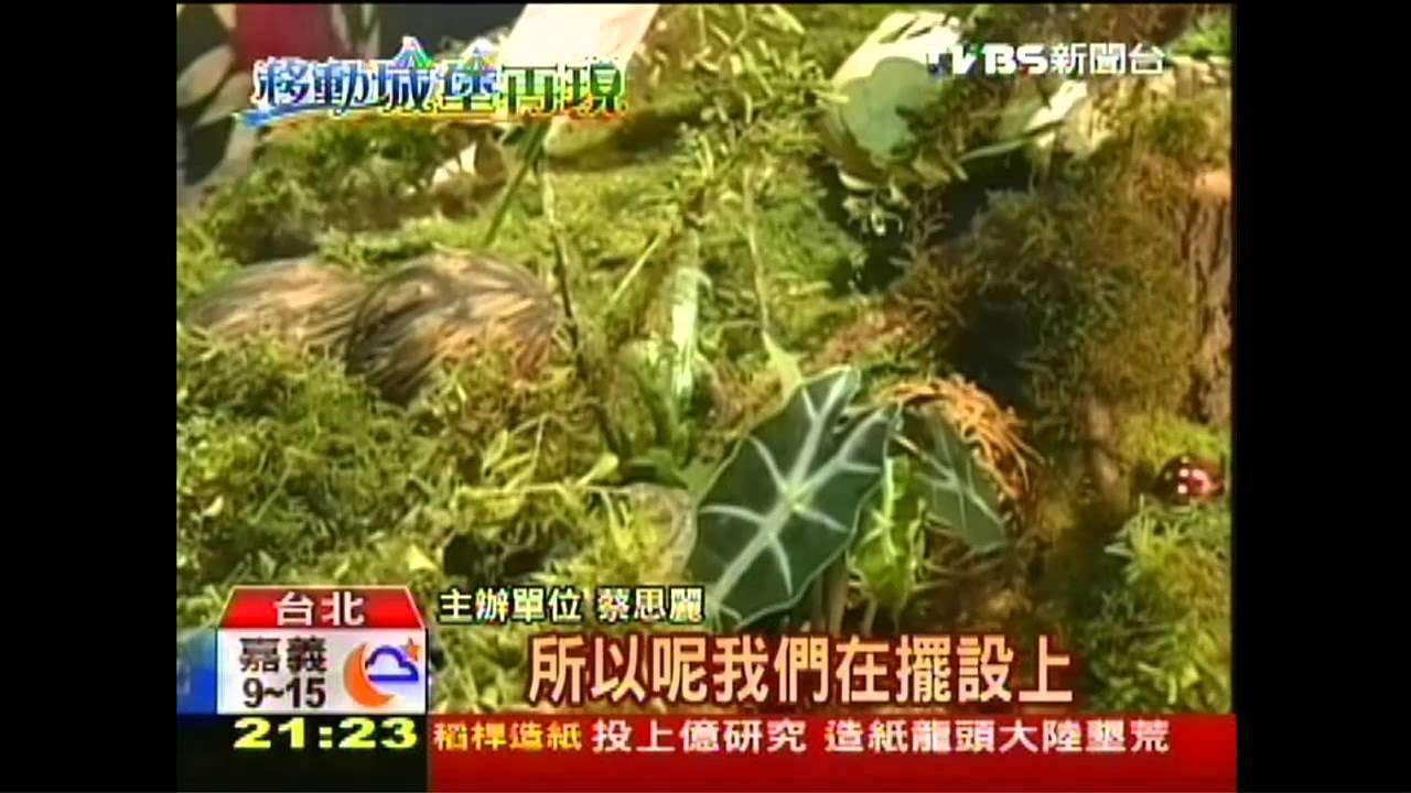 台灣創意　動物昆蟲幻化精緻餐點