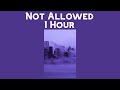 TV Girl - Not Allowed || 1 Hour loop