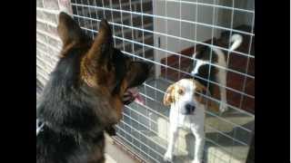 Winston liebt Paula - Winston love Paula