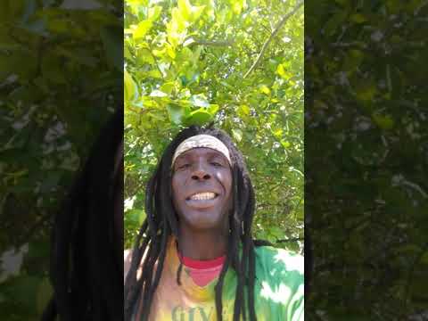 Buju Banton protoje and Mr Vegas situation