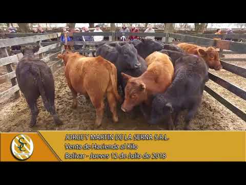 12-07-18 Venta de Hacienda al Kilo - Jorge y Martin de la Serna S.R.L. - Bolivar.