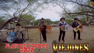 Los Viejones De Linares - Flor de Capomo 2020