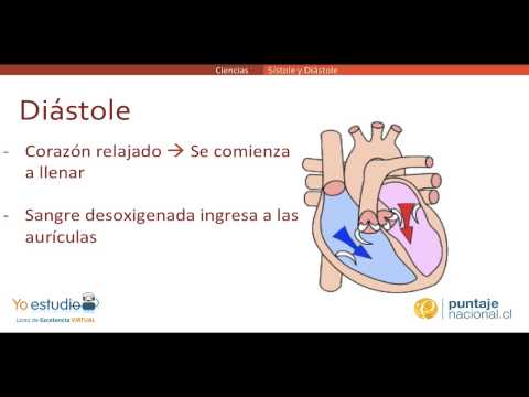 download lagu mp3 mp4 Sistole, download mp3 Sistole free download, download mp3 Sistole