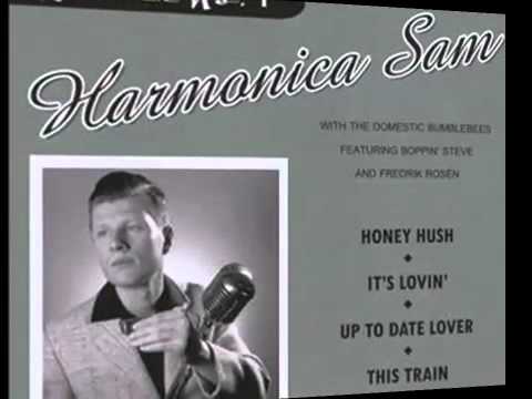 Harmonica Sam with the Domestic Bumblebees - This Train