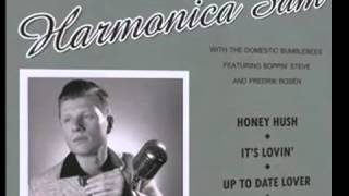 Harmonica Sam with the Domestic Bumblebees - This Train