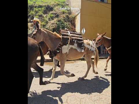 Tropa de São Lourenço mg