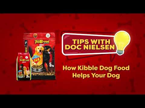 How Kibble Helps Your Dog | TopBreed PH