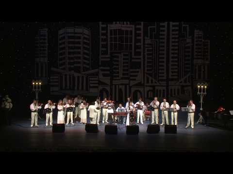 Vasilica Dinu cu orchestra Mugurel - Săracu bărbatul meu