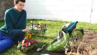 Making a Perfect Spring Window Box
