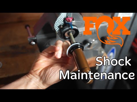 Fox Rear Shock Maintenance with Seal Replacement