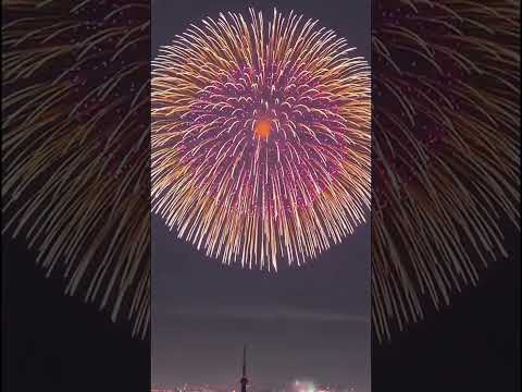 Shanghai New Year Fireworks