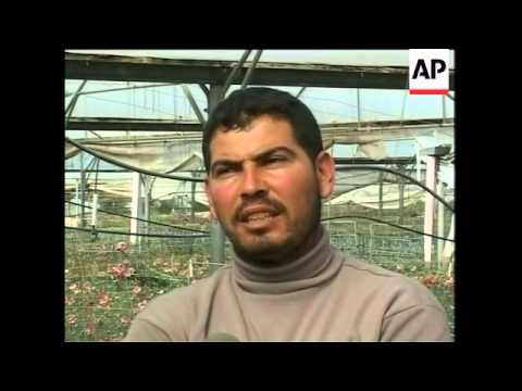 WRAP Flowers leave Gaza for Europe cross border ADDS army reax