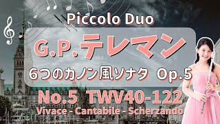 【ピッコロ２重奏】テレマン・６つのカノン風ソナタ第５番 TWV40:122 イ長調 [Piccolo Duo] Telemann : 6 Canonic Sonata No.5 A-dur