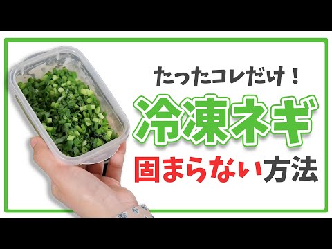 ネギの冷凍:これが最良の結果を得る方法です 植物