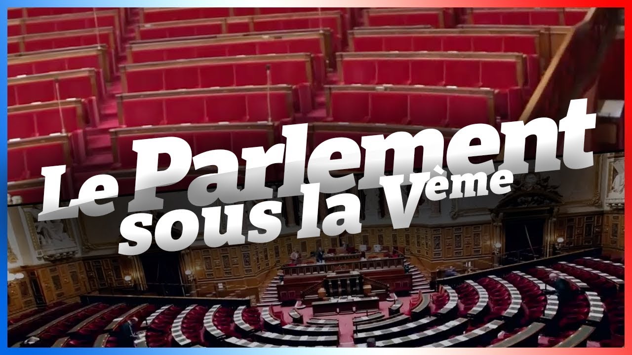 UN PARLEMENT DE GODILLOTS - Vive la République