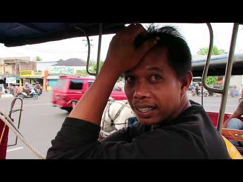 KUSIR KUDA DELMAN SUKA DUKA