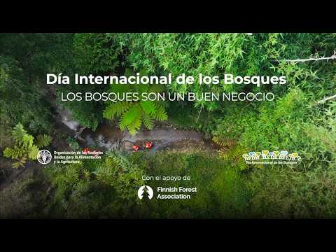 Naciones Unidas | Paz, dignidad e igualdad<BR>en un planeta sano