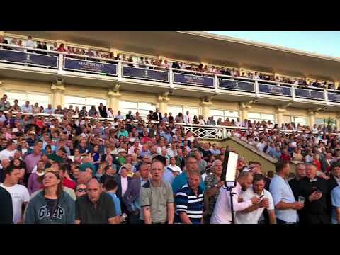 Star Sports Greyhound Derby: FINAL NIGHT