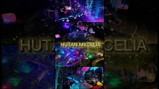 Download lagu Sensasi Malam di Hutan Cahaya mp3 Download lagu Sensasi Malam di Hutan Cahaya mp3
