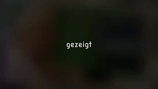 Helene Fischer - Du hast mich stark gemacht (Cover Michelle Seifert)