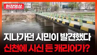 Download lagu [현장영상] 신천에서 시신 든 캐리어가? 지나가던 시민이 발견한 대구 도심 충격 사건ㅣTBC뉴스 mp3