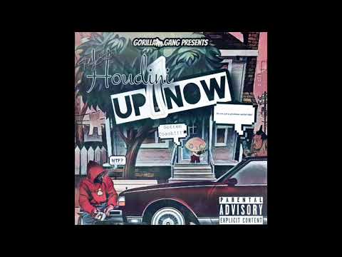 PlugSac Houdini- Houdini Up Now