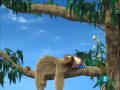The Owl 28 The Sloth