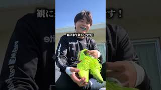 現在、SHIBUYA CITY FCでは土日に利用できる練習グラウンドを探しています。 自前の施設がなく、公営施設の工事や民間グラウンドの高倍率抽選により、練習場所の確保に苦戦している状況です。...