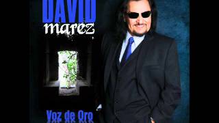 David Marez - Senor Cantinero.wmv