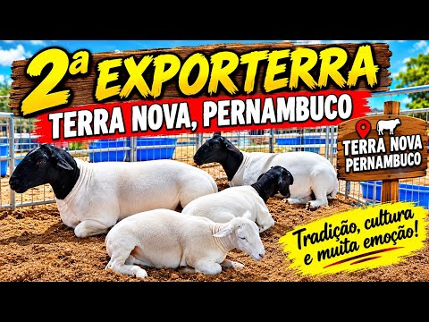 Veja como foi a EXPOTERRA na cidade de terra nova Pernambuco