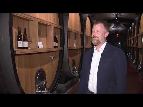 Spargelwein der Kellerei Terlan