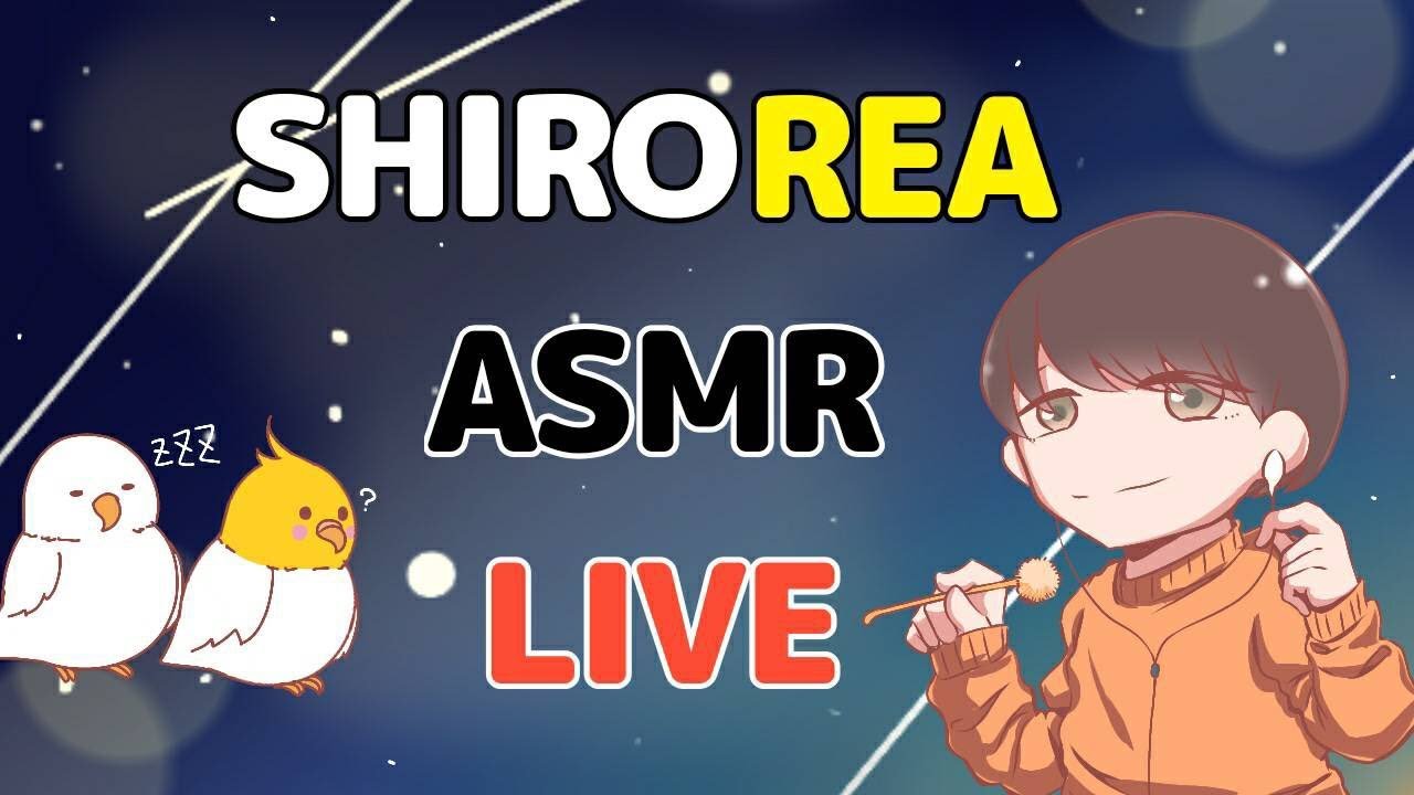 【ASMR】なんと４か月ぶりの配信【音フェチ】