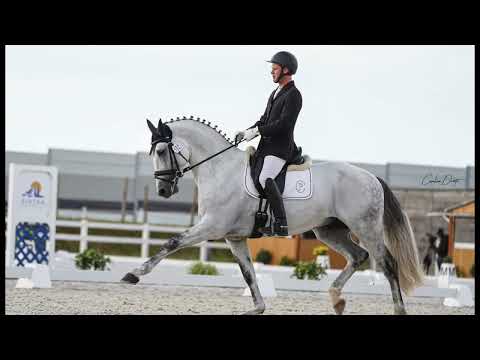 Nuno Chaves De Almeida & Lizarran - CDIYH Beloura, Portugal 23/4/2022