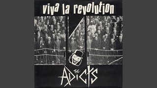 Viva La Revolution