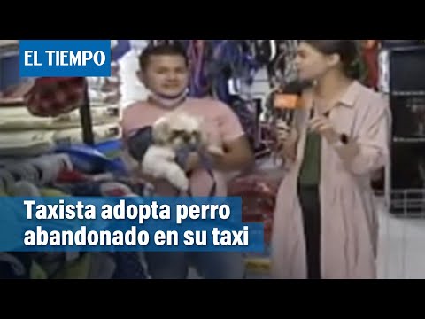 Taxista bogotano adoptó un perro que fue abandonado en su taxi con instrucciones | El Tiempo
