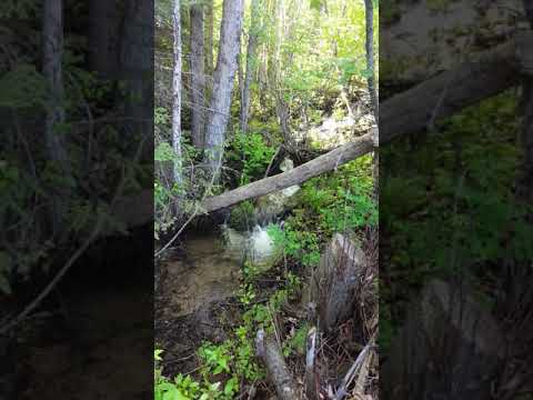 Klein Creek Klein Creek